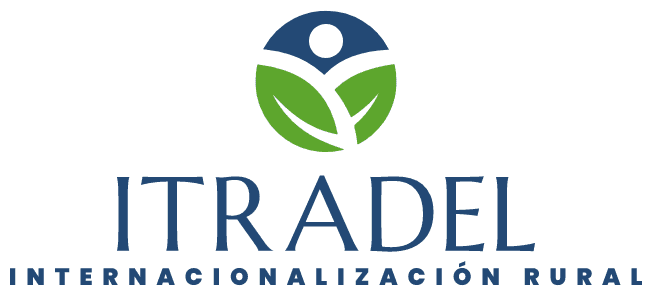 ITRADEL Main Logo 1